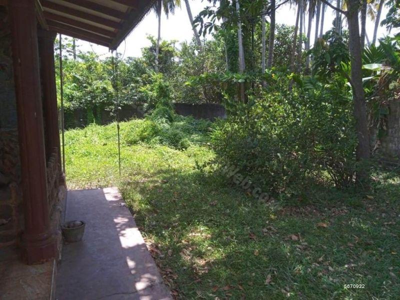  Land with house for sale/rent