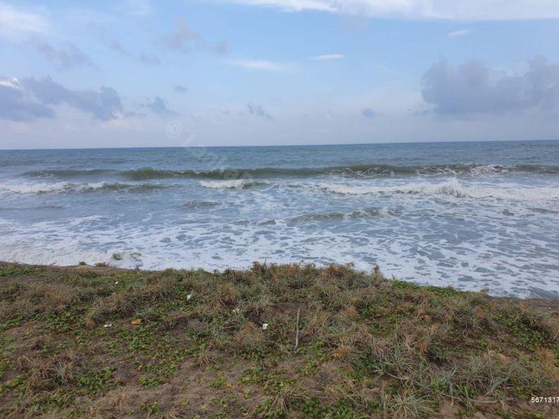  Beachfront land for sale/rent