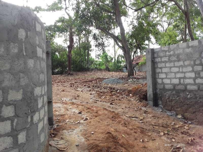  Beachfront land for sale/rent