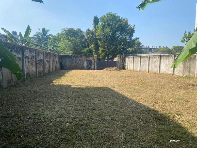  Tea land for sale/rent