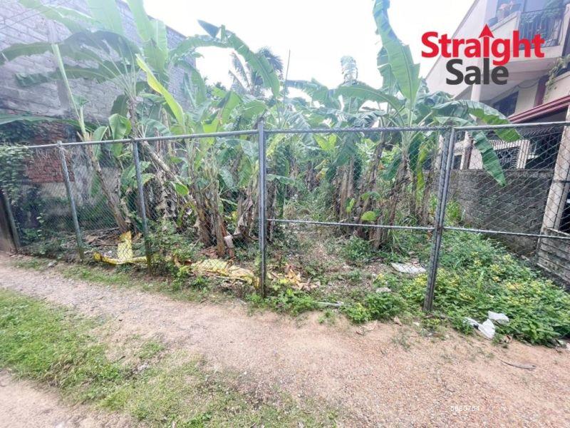  Bare Land for sale/rent