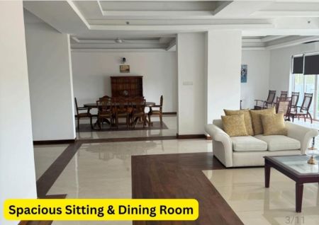 Living Room - Blue Ocean 03beds/spacious unit/furnished apartment/for rent in Colombo-03.