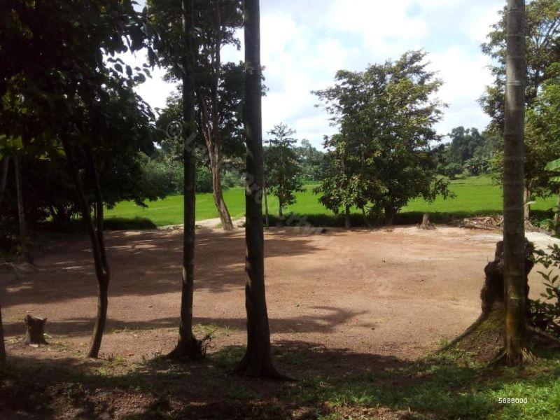  Bare Land for sale/rent