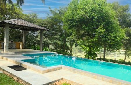 Pool - Villa For Rent In Colombo - Bandaragama 