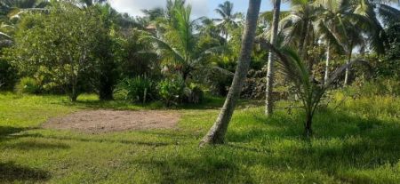 Garden - An Island located , 6 Bedroom villa for sale in Ambalangoda for Rs. 67 million (negotiable)