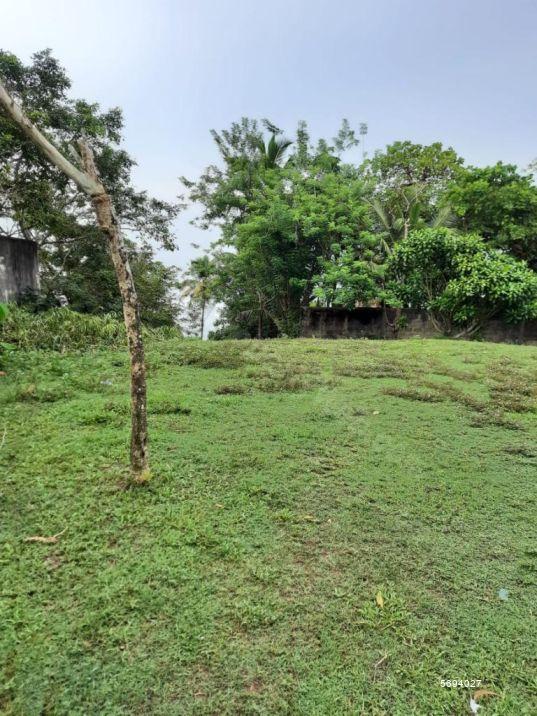  Bare Land for sale/rent