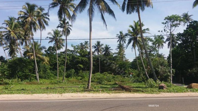  Beachfront land for sale/rent