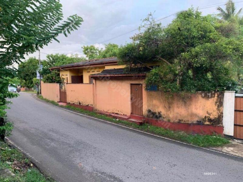  Land with house for sale/rent