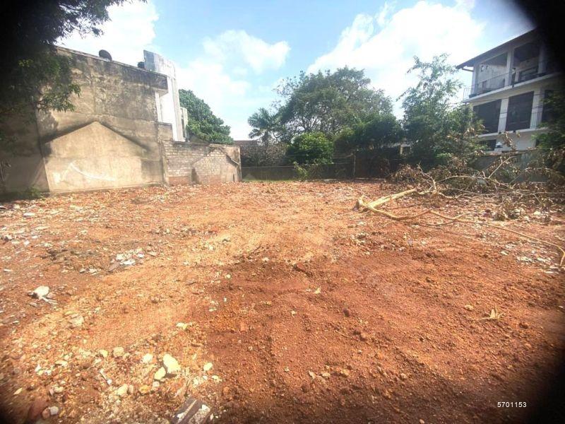  Bare Land for sale/rent