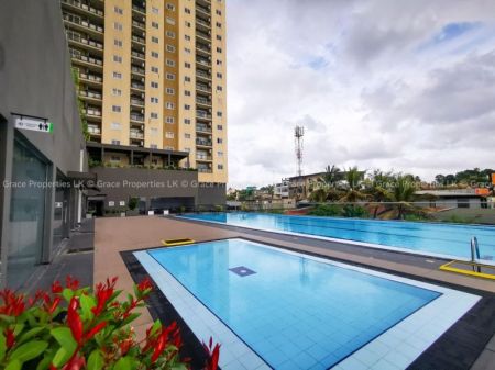 Pool - 3 Bedroom apartment for rent in Battaramulla