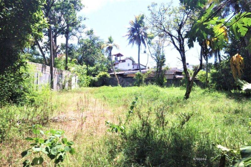  Bare Land for sale/rent