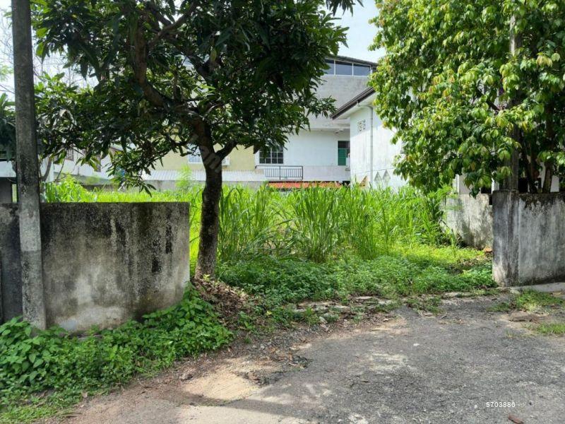  Bare Land for sale/rent