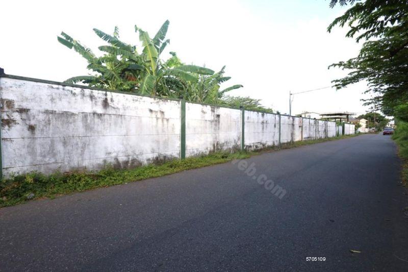  Bare Land for sale/rent