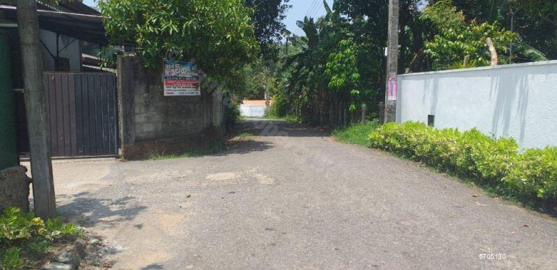  Land with house for sale/rent