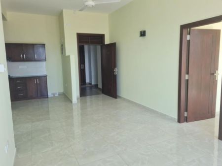 Kitchen - Brand new Apartment Sale Colombo 6