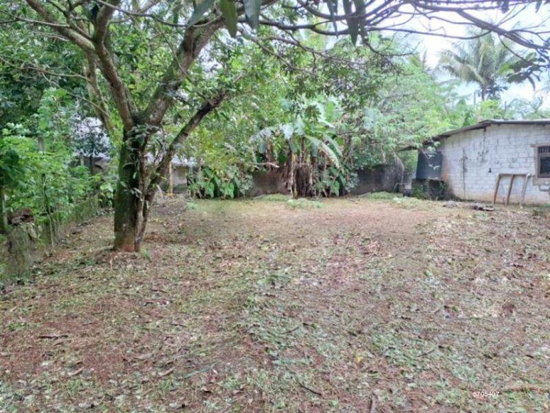  Bare Land for sale/rent