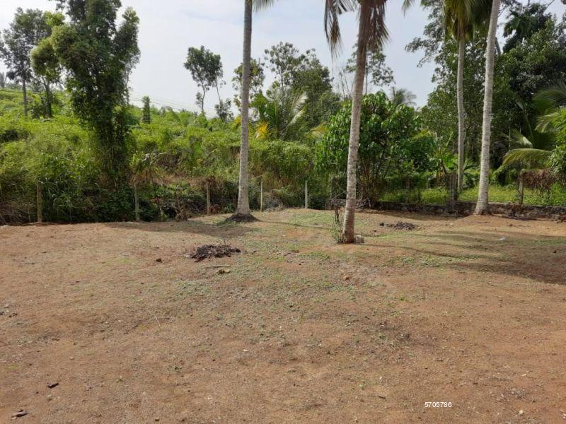  Bare Land for sale/rent