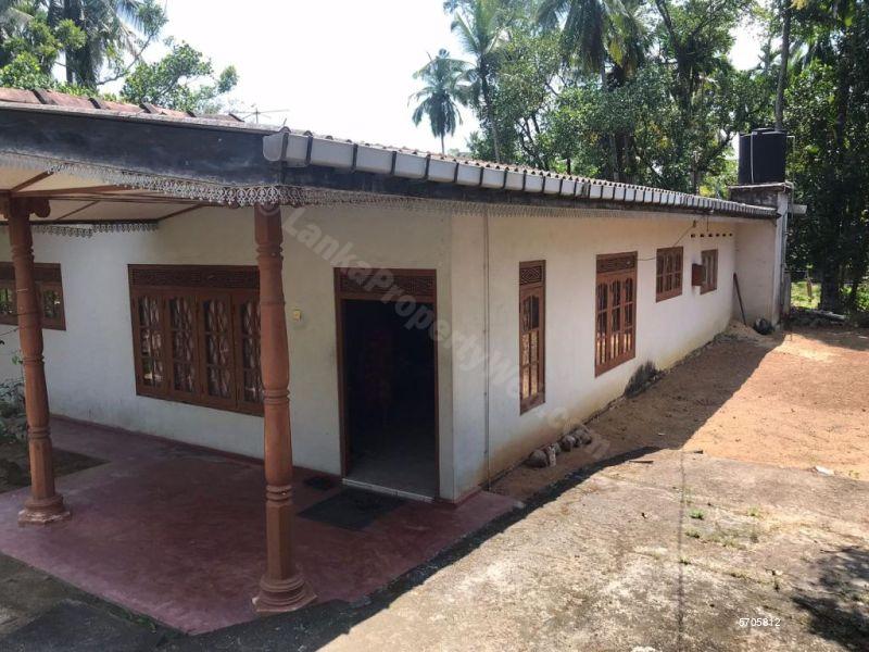  Land with house for sale/rent