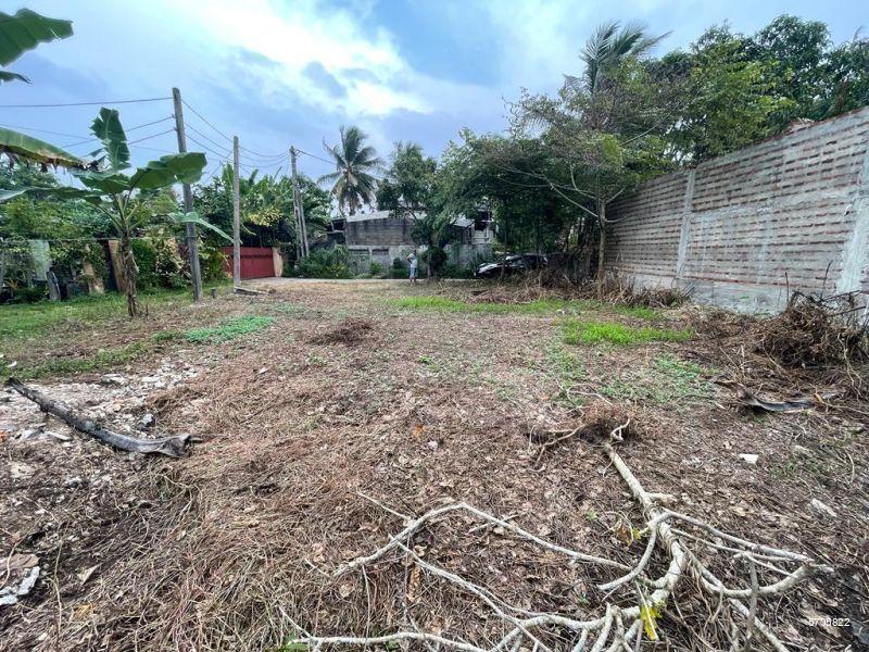  Bare Land for sale/rent