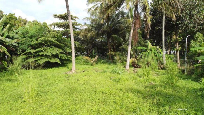  Bare Land for sale/rent