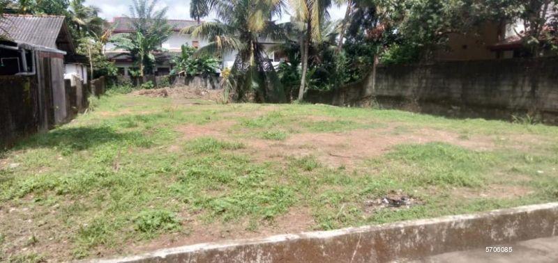  Bare Land for sale/rent