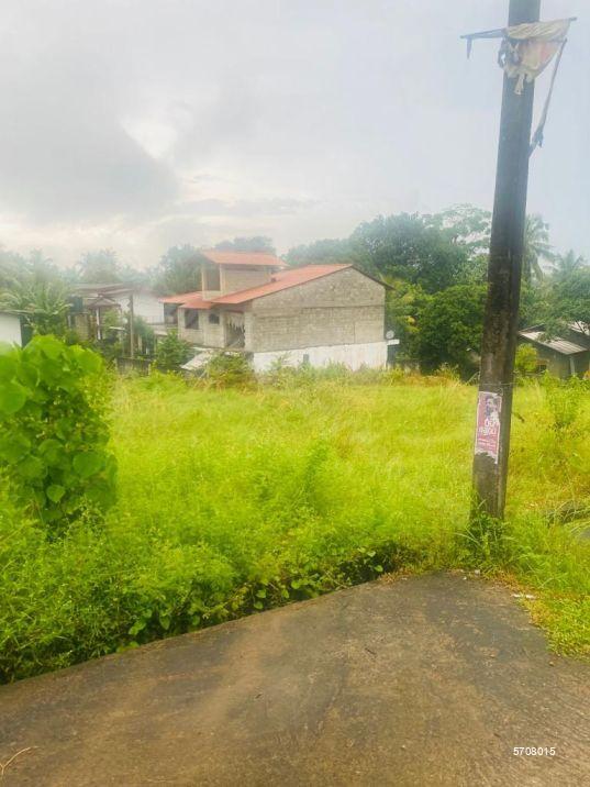  Bare Land for sale/rent