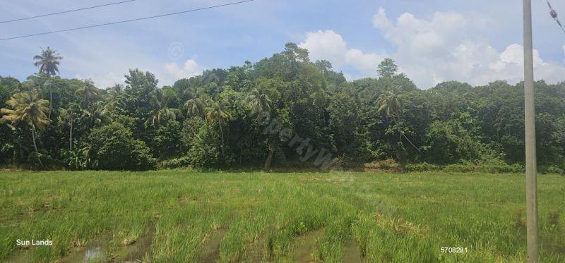  Bare Land for sale/rent