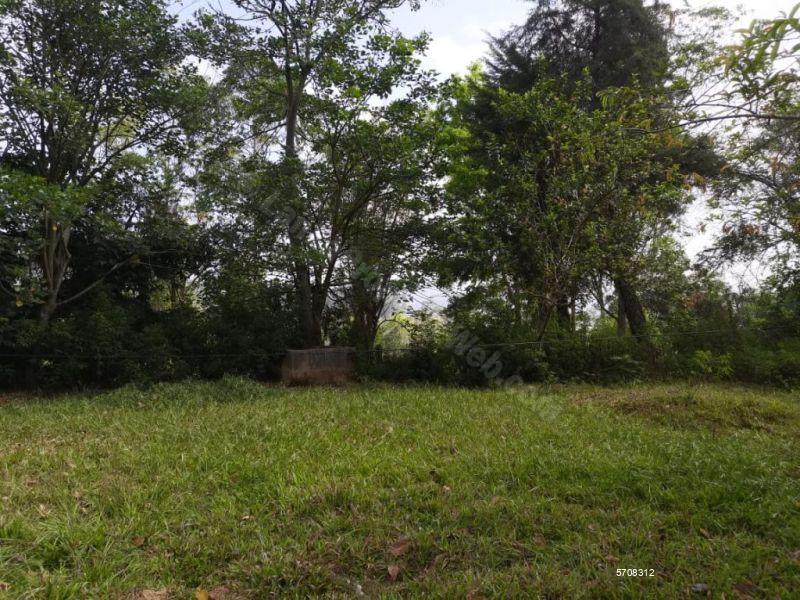  Land with house for sale/rent