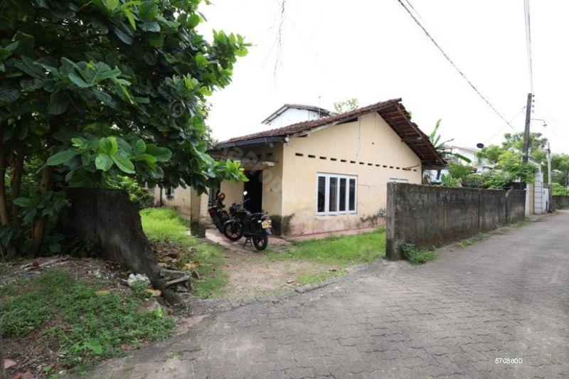  Land with house for sale/rent