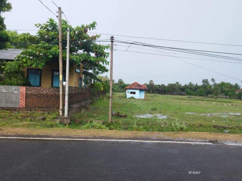  Bare Land for sale/rent