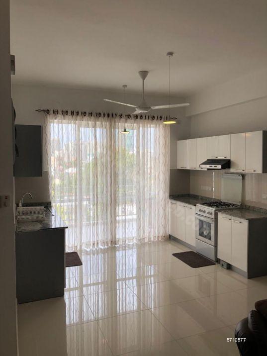 Colombo 5 Apartment for sale/rent