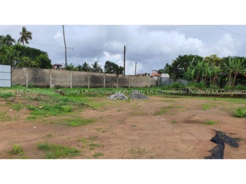  Bare Land for sale/rent