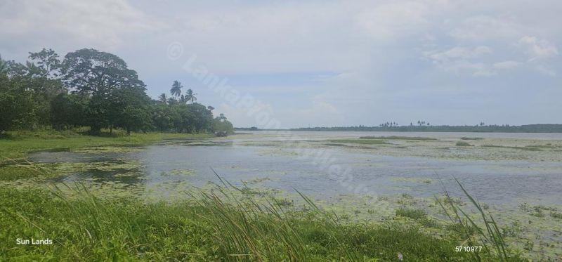  Waterfront land for sale/rent