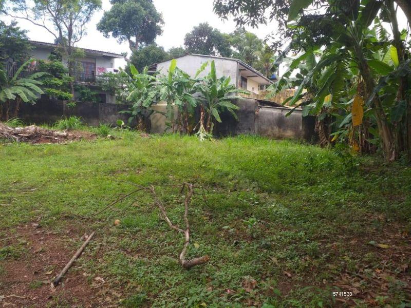  Bare Land for sale/rent