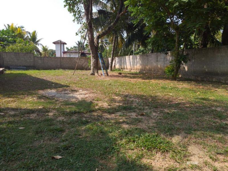  Land with house for sale/rent