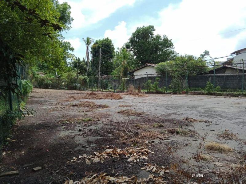  Bare Land for sale/rent