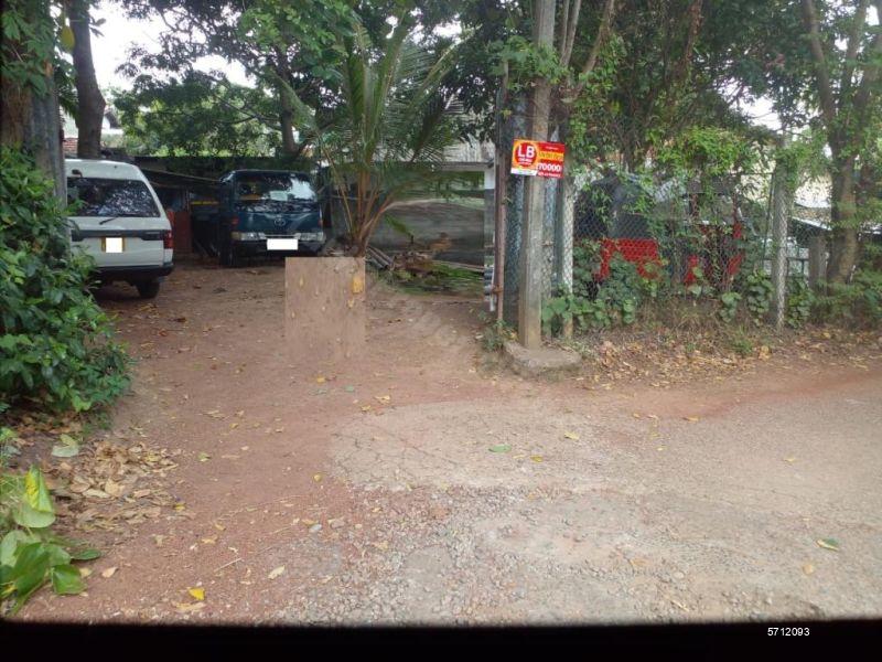  Land with house for sale/rent