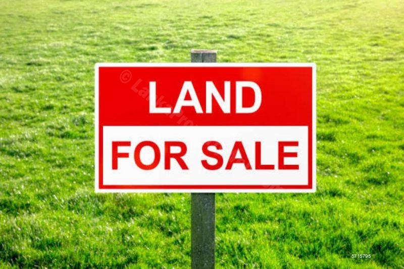  Bare Land for sale/rent