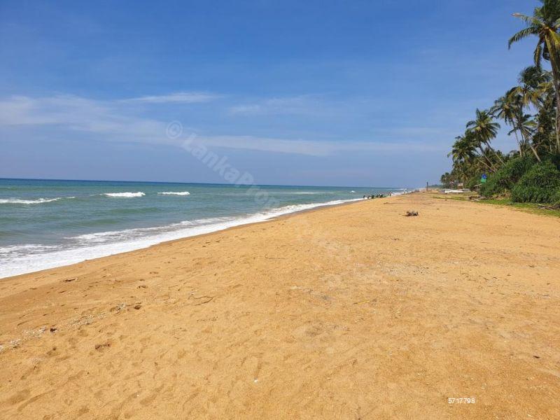  Beachfront land for sale/rent