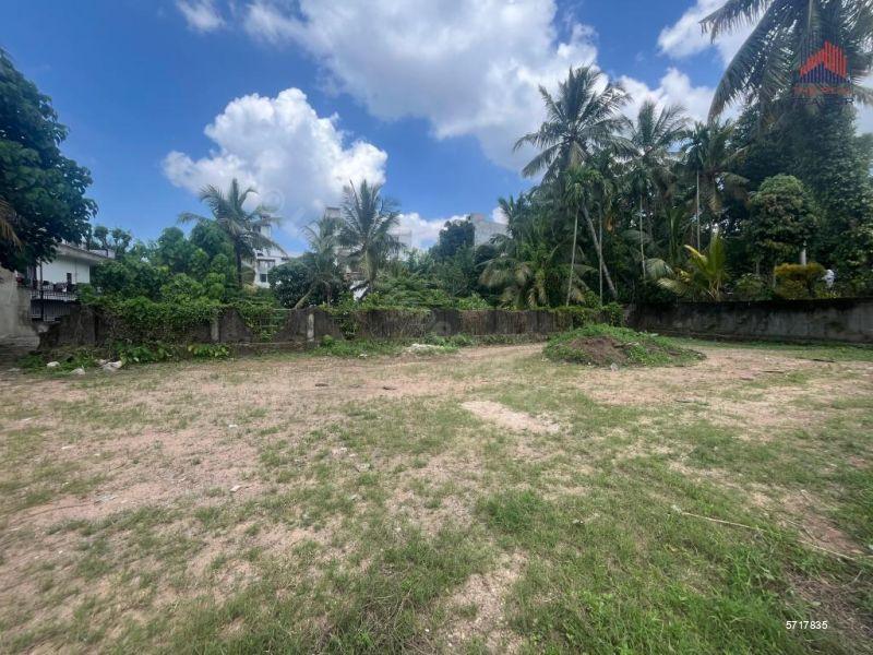  Bare Land for sale/rent