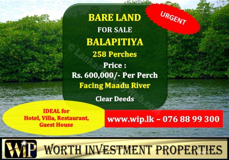  Bare Land for sale/rent