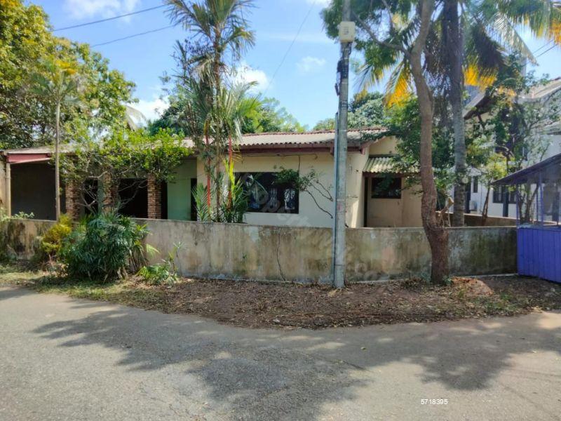  Land with house for sale/rent