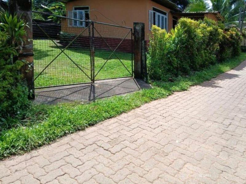 Gampaha Land with house for sale/rent