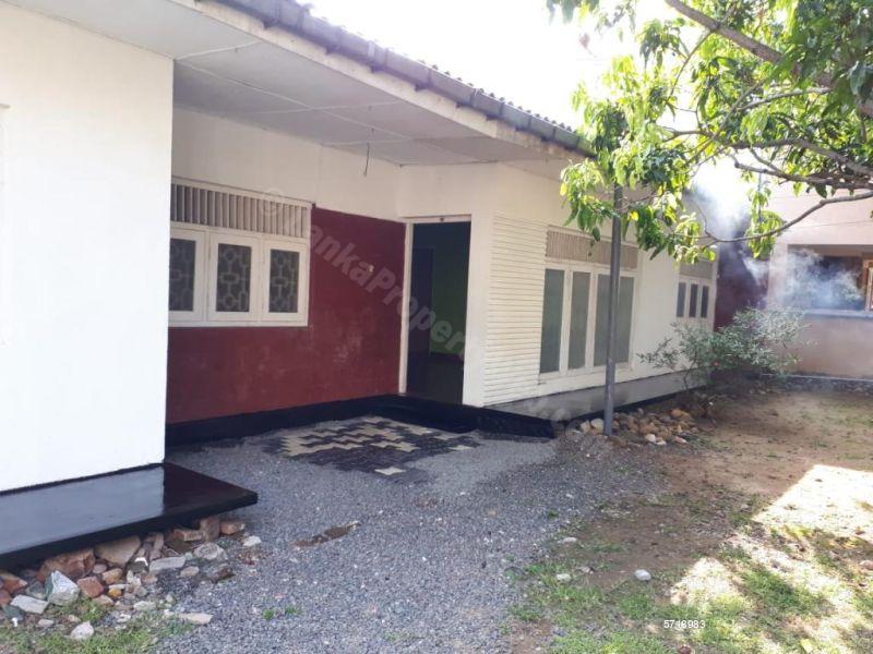  Land with house for sale/rent