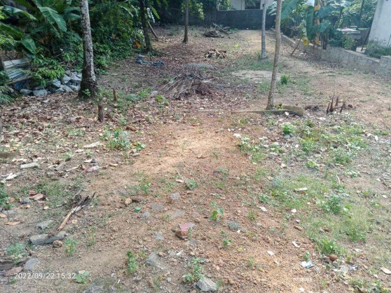  Bare Land for sale/rent