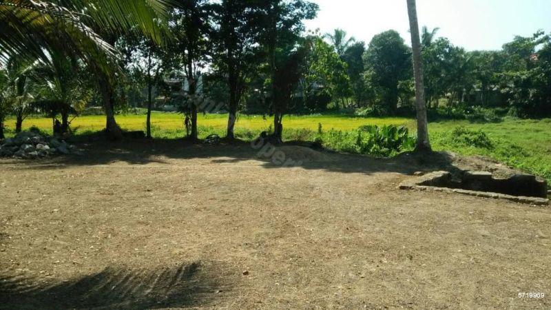  Bare Land for sale/rent