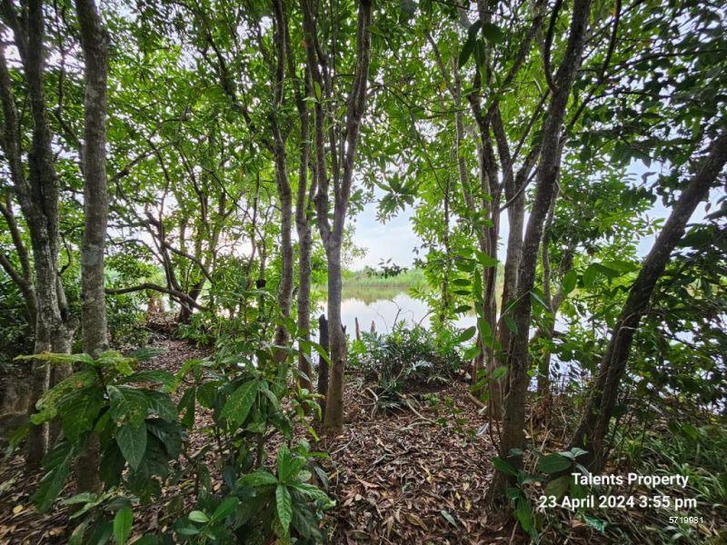  Waterfront land for sale/rent