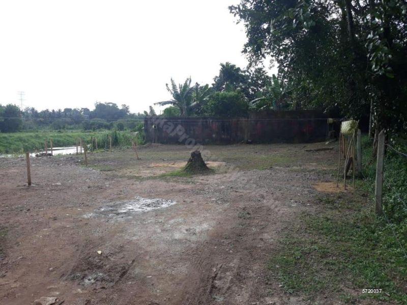  Bare Land for sale/rent