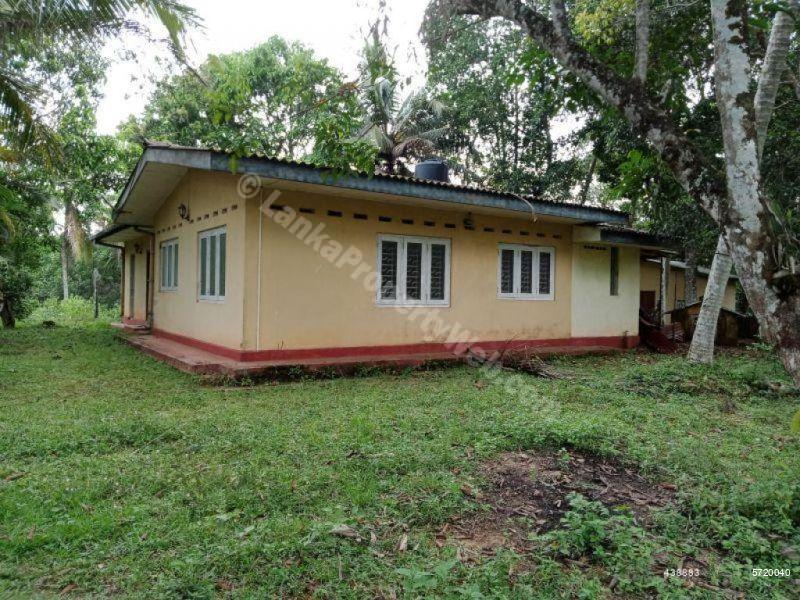  Land with house for sale/rent