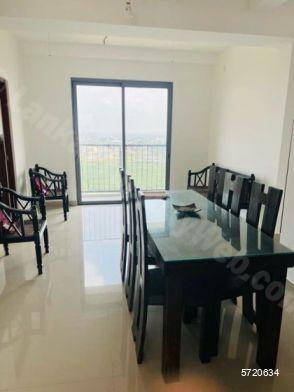 Colombo 8 Apartment for sale/rent